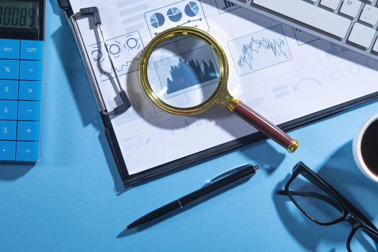 1СПАРК Риски