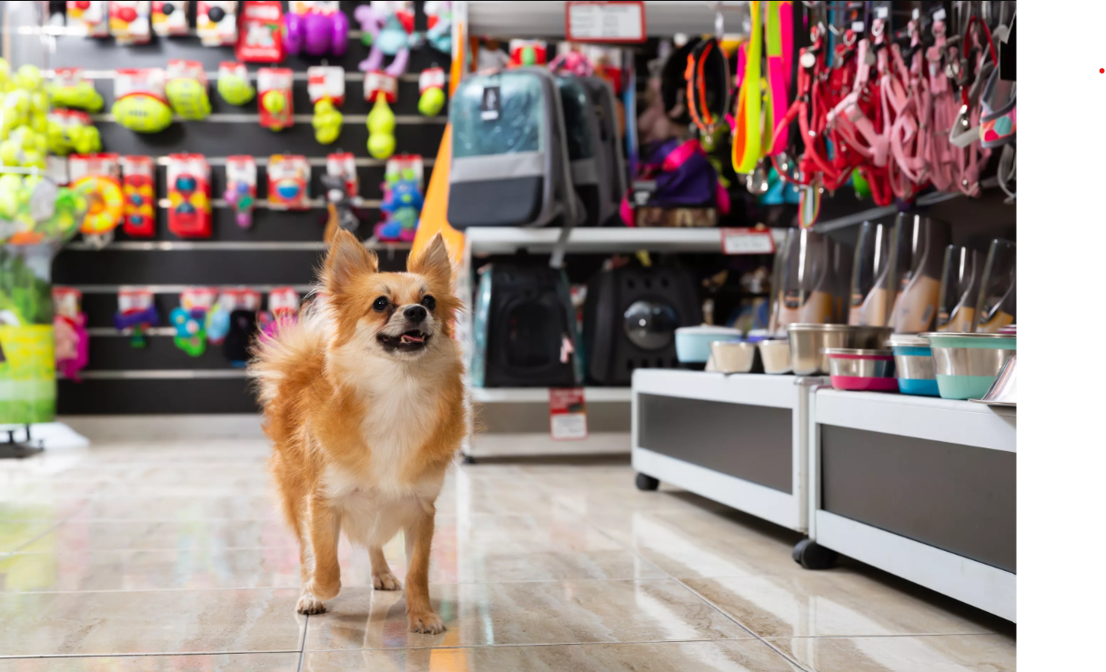  ИП Дегалова А. Е.