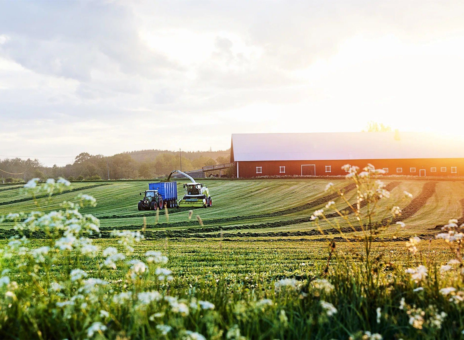 ИП ГКФХ Терещенко А.Ю.