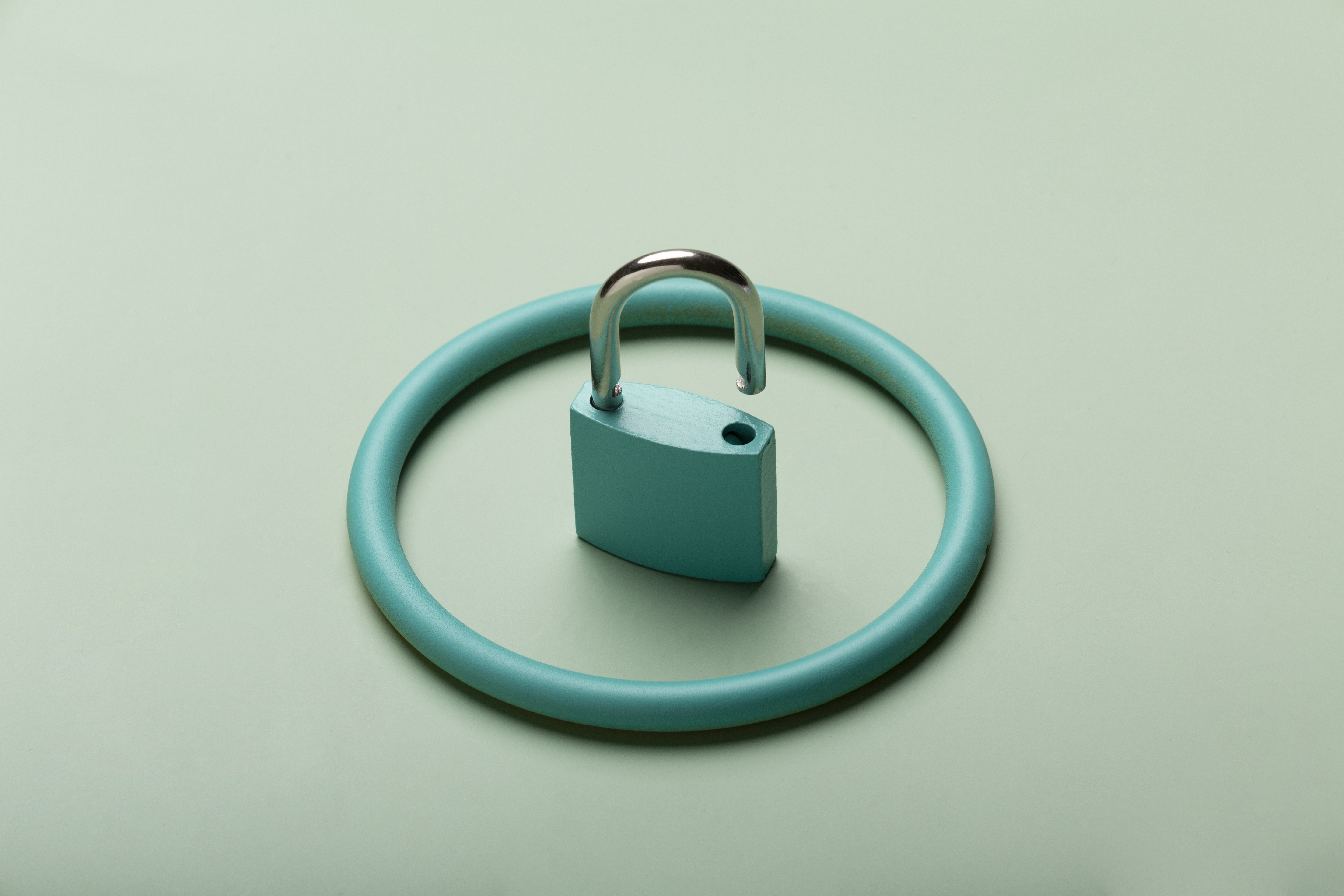 Роскомнадзор рассказал, как подтвердить факт уничтожения персональных данных